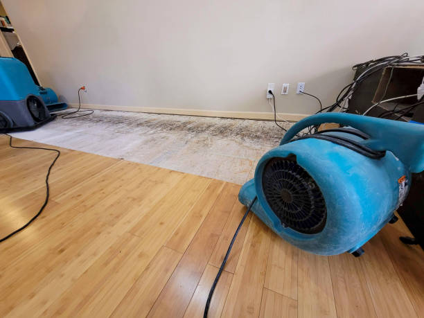 Professional Water Damage Repair technician working in McCutchenville, OH